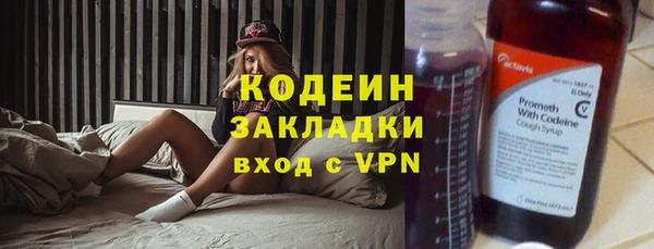 хмурый Покачи