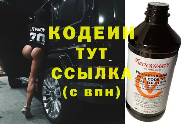 хмурый Покачи