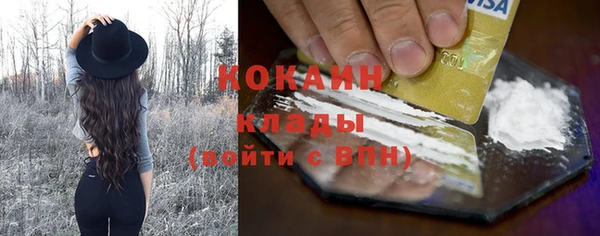 хмурый Покачи